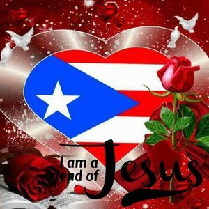 Meet your Posher, Mona